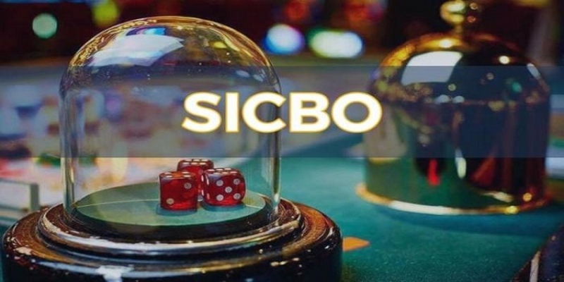Kinh nghiệm chơi Sicbo giúp bạn chiến thắng